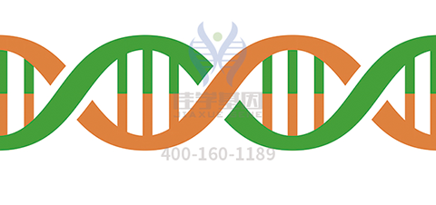 【Trust科技基因检测】<font color='red'><font color='red'>特发</font>性<font color='red'>震颤</font></font>基因解码、<a href=http://www.szyjgc.com/tk/jiema/cexujishu/2021/31933.html>基因检测</a>