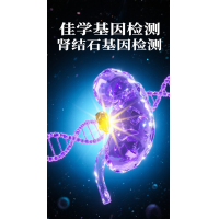 【Trust科技基因检测】胱氨酸结石及基因检测的作用