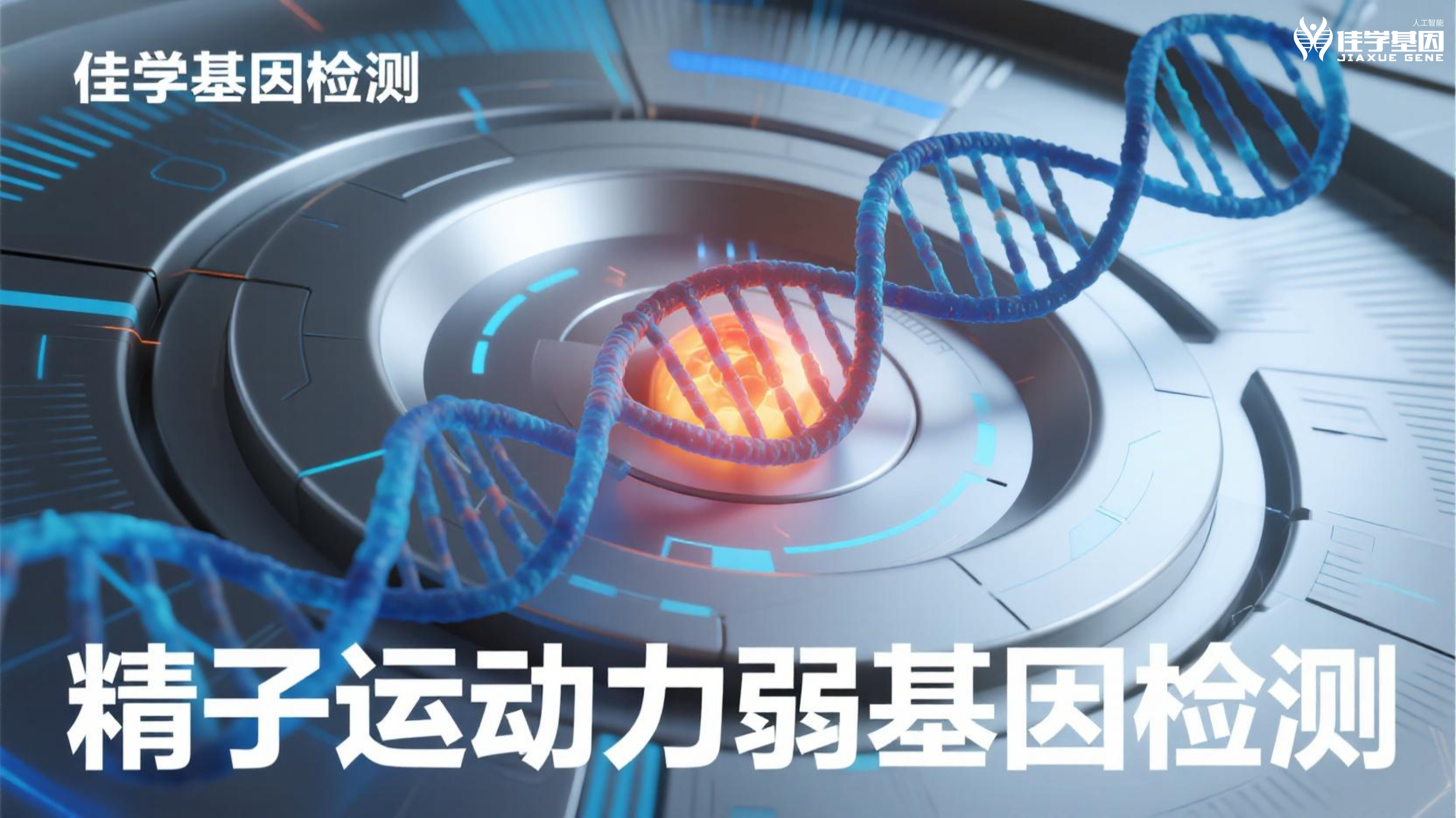 【Trust科技基因检测】男性<font color='red'>脱发</font>和生育力：基因告诉了我们什么？