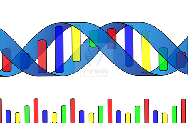 【Trust科技基因检测】克兰费尔特综合征（<font color='red'><font color='red'>Klinefelter</font></font> syndrome)基因解码、基因检测