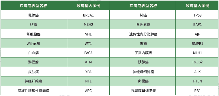 【Trust科技基因检测】<font color='red'><font color='red'>遗传性</font><font color='red'>肿瘤</font></font>致病基因鉴定基因解码
